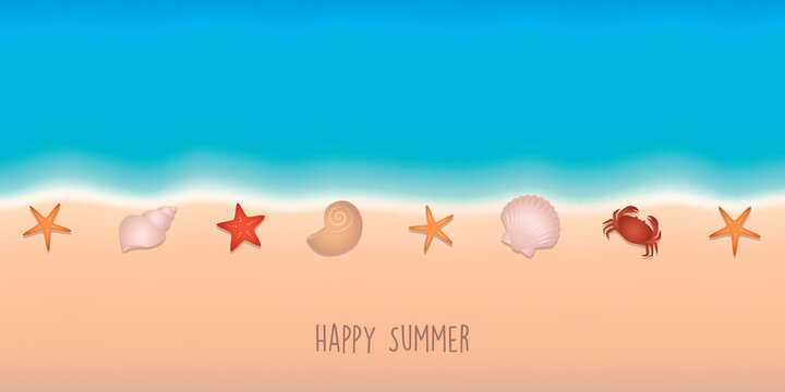 happy summer holiday marine background with shell starfish crab