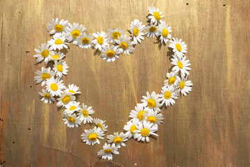 Obraz premium heart of daisies