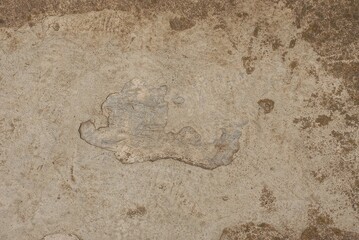 gray brown stone texture from dirty concrete wall in the street