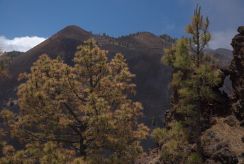 Fototapeta na wymiar La Palma, long-range popular hiking route Ruta de Los Volcanes, landscapes around black crater of El Duraznero volcano, formed in 1949