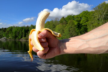 Bananas makes you strong. Banana held by hand. Lake and Swedish nature in the background. Closeup,...