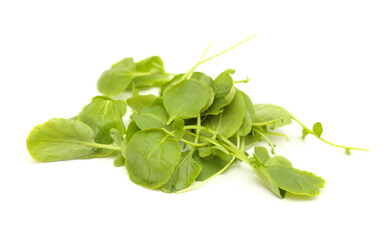 small green leaves of watercress salad isolated on white background
