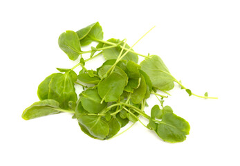 small green leaves of watercress salad isolated on white background
