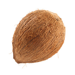 Ripe cocoa closeup isolated on white background