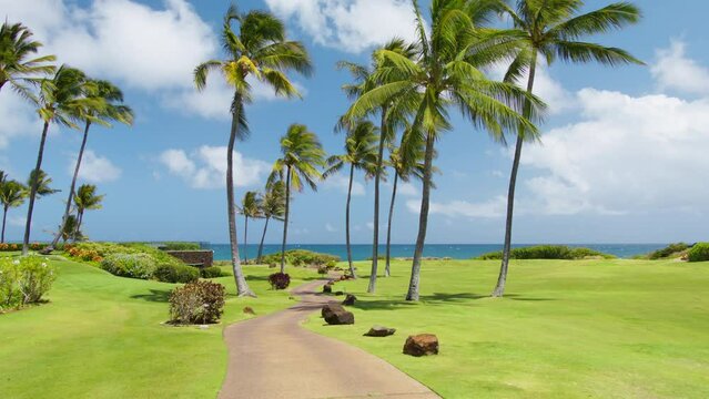 RED shot resort trail in the green park with green palm trees in 4K format. POV Tropical Vacation, summer on Hawaii 4K. View of the palm trees on perfect golf field at the ocean under sunny blue skies