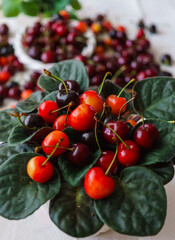 Cherries on wooden table with water drops macro background.