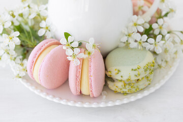 Traditional delicious French dessert - sweet homemade macarons on a vintage plate. Colourful tasty macaroons served on a white china with herbal tea. Decorated with fragile cherry tree flowers.