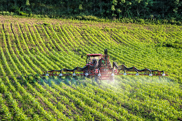 Chemical spraying of ripening cornfield plants
