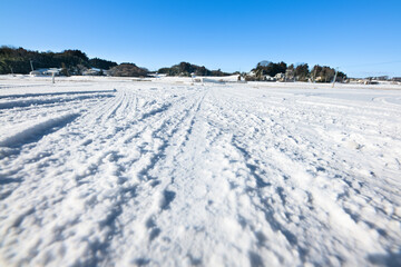 Fototapeta na wymiar 降雪の朝いつもの雪道　雪の轍跡