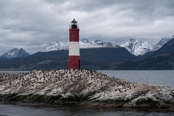 a red and white lighthouse on a rock where there are many birds.