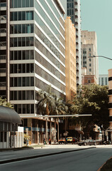downtown city miami street usa florida trees buildings 