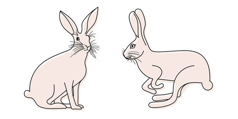 Vector set illustration of a jumping and sitting hare or rabbit. The animal is sitting, running.