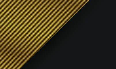 Premium background. Abstract luxury pattern. Gold glitter stripes background. Abstract gold line texture. Black pattern vector illustration.