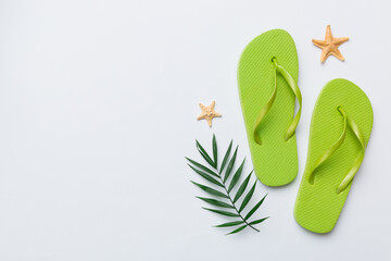 Flat lay composition with flip flops and seashell on colored background. Space for text top view