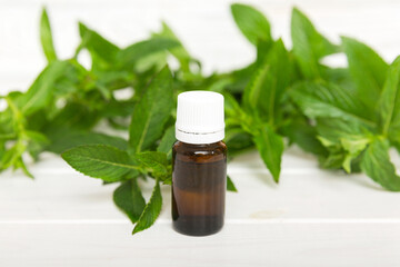 Natural Mint Essential Oil in a Glass Bottle. organic cosmetics with herbal extracts of mint on colored background