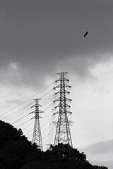 The bird flying high in the morning sky looks farther.