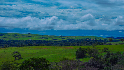 Fototapeta premium Azul y Verde