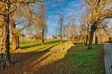 Fototapeta premium Park with leaves in Wschowa