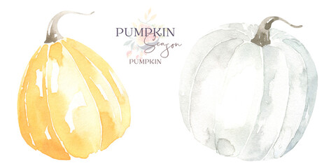 Watercolor autumn thanksgiving rustic pumpkin  single harvest element isolated. Fall rustic boho pumpkin for nursery decor, thanksgiving card, fall wedding card, halloween, jack o'lantern diy element © Catherine