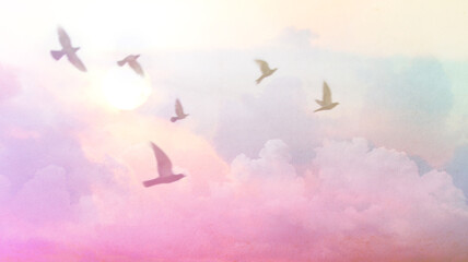 Birds flying over motion blur tropical sunset with cloudy sky with pastel gradient color paper texture for background Abstract,postcard nature art pastel style,soft and blur focus.