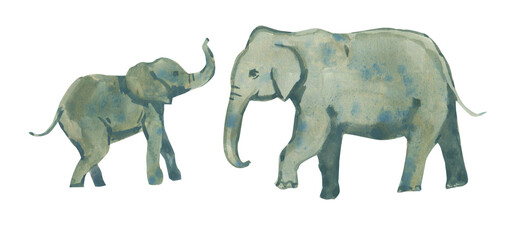 Animals family. Hand drawn watercolor illustration on white background © Elena