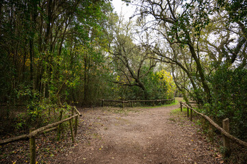 dos caminos