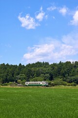 新緑の飯給駅とキハ40　小湊鉄道