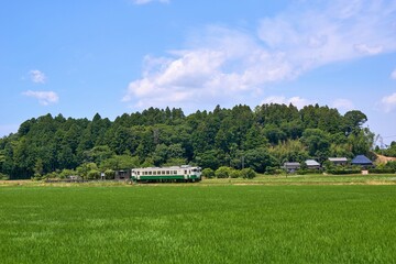 新緑の飯給駅とキハ40　小湊鉄道