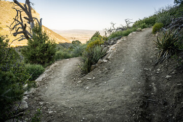 Switchback Heads Uphill In Morning Shade
