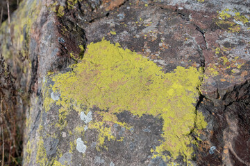 stone with bright green moss
