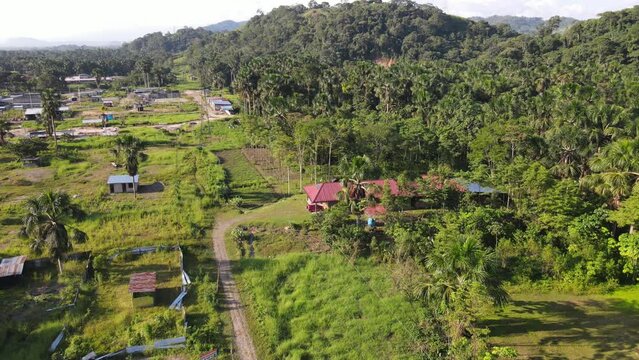 BOSQUE DE AGUAJAE (MAURITIA FLEXUOSA) Y LA NUEVA CIUDAD EN NARANJILLO