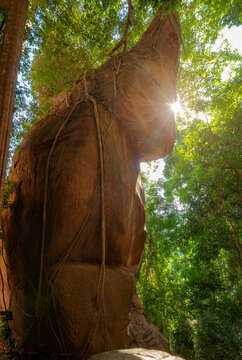 Nakee Cave, at Phu Langka National Park, Ban Phaeng District Nakhon Phanom Province, Thailand