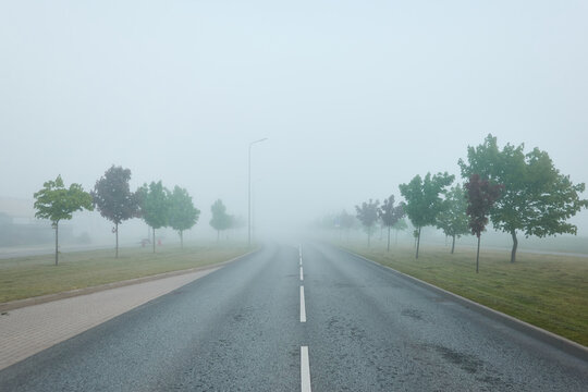 A new asphalt road (highway) in a fog. Cobblestone pedestrian walkway and alley of young green trees. Street lanterns, traffic lights. Cityscape. Landscaping, dangerous driving, safety concepts