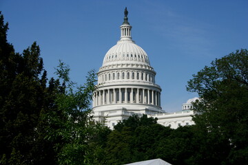 Fototapeta na wymiar Capitol Building