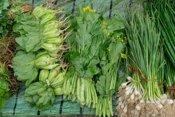 Obraz premium Leaf vegetables, also called leafy greens, salad greens,vegetable greens, or simply greens, are plant leaves eaten as a vegetable, for sale in a market in Territy Bazar, Kolkata, West Bengal, India.