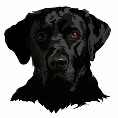Black labrador vector illustration. Dog portrait