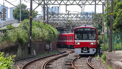 Naklejka premium 六郷土手付近を走る電車