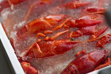 Red lobsters in the ice. Frozen foods. Luxury fresh seafood.  Fresh frozen seafood.