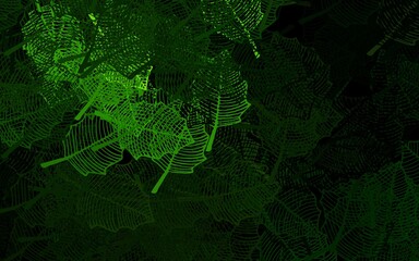 Dark Green vector doodle pattern with leaves.