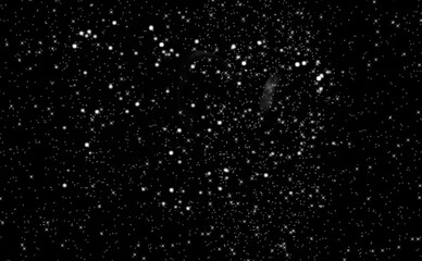 falling snowflakes on black