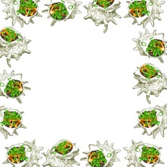 手描き水彩のサザエのつぼ焼きイラスト正方形フレーム・囲み