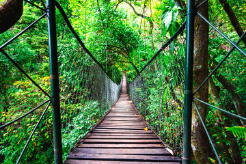 Old suspension bridge in nature