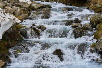 Mountain river in the early summer