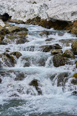 Mountain river in the early summer