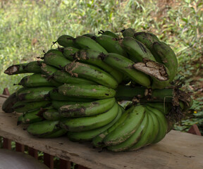 bunch of green or ripe bananas - racimo de plátano verde para el patacón