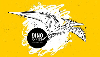 Hand drawn dinosaur sketch. Pteranodon © Nadin_Koryukova