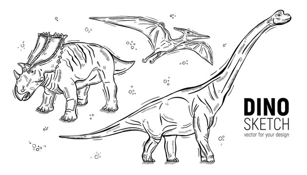 Set of hand-drawn dinosaur sketches. Diplodocus, triceratops and pteranodon