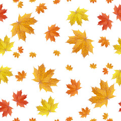 Seamless pattern of autumn maple leaves isolated on a white background.