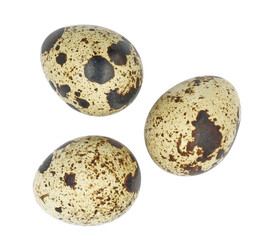 pile of quail eggs. isolated. with clipping path.	