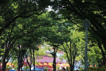 A large circus tent in the Shirakawa Park